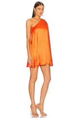 X Revolve Barbara Mini Dress