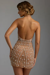 Hand Embellished Sheer Mini Dress In Almond